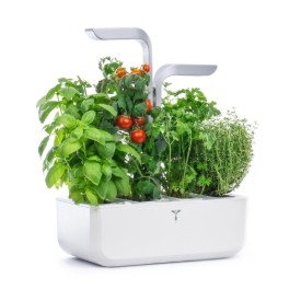 A "SMART Garden" kaspók kategória képek