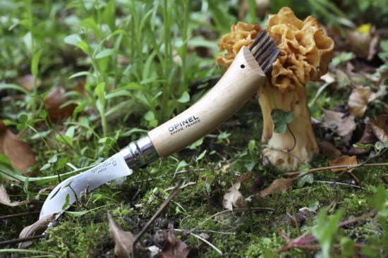 Opinel - N°08 Gombász kés, rozsdamentes acél, 8 cm 