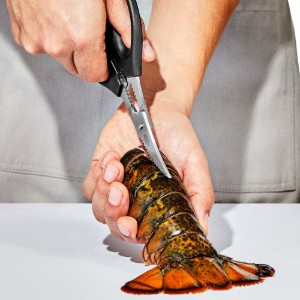 OXO -  "Good Grips" Tenger gyümölcsei olló, rozsdamentes acél, 19 cm