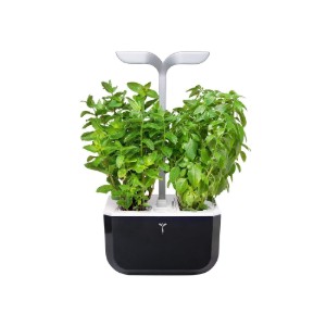 Exky "SMART Garden" virágtartó, Soft Black - Veritable