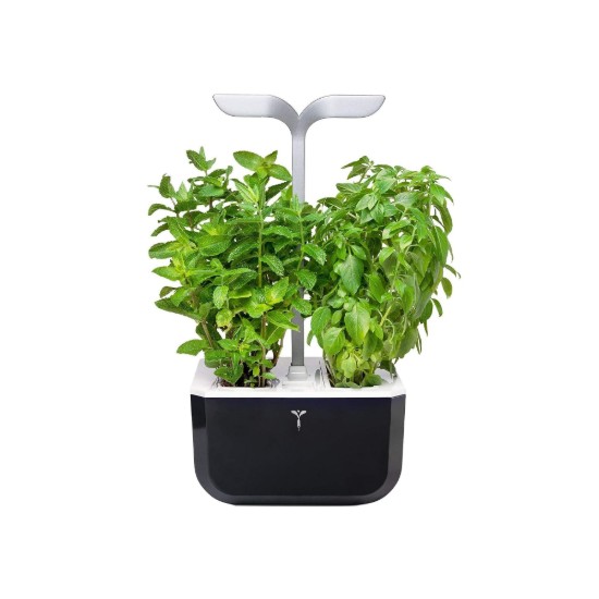 Exky "SMART Garden" virágtartó, Soft Black - Veritable