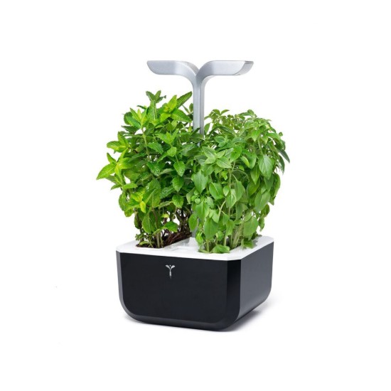 Exky "SMART Garden" virágtartó, Soft Black - Veritable