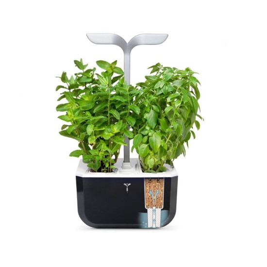 Exky "SMART Garden" virágtartó, Soft Black - Veritable