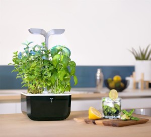 Exky "SMART Garden" virágtartó, Soft Black - Veritable