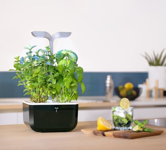 Exky "SMART Garden" virágtartó, Soft Black - Veritable