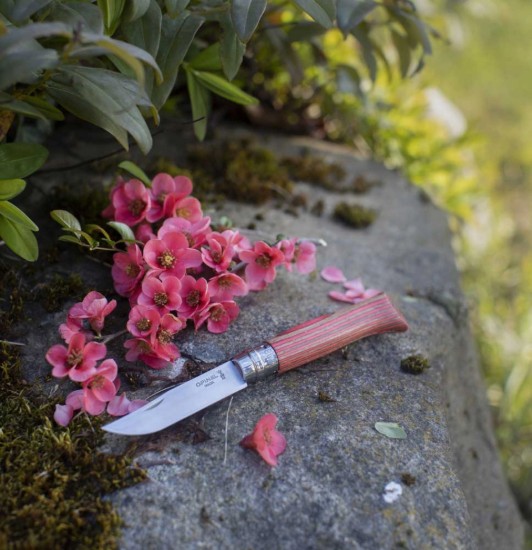 Zsebkés N°08, rozsdamentes acél, 8,5 cm, "Tradition Luxe", Red Birch - Opinel