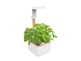 A BOTANEO kaspók kategória képek