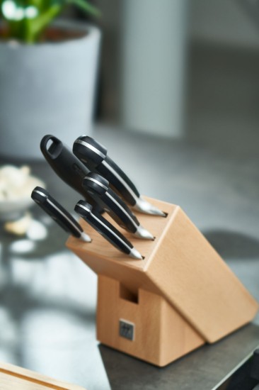 6 darabos késkészlet Professional S - Zwilling