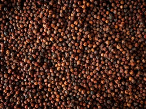 3 tasak Kampot pirospaprika, 3 × 20g, "Spices" - Peugeot