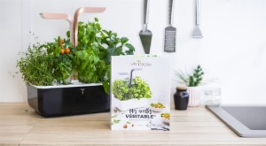 "Mes Recettes VERITABLE" receptkönyv, 1. francia